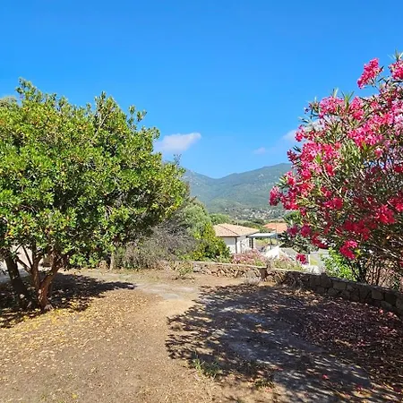 Rez-de-villa T4, Idyllique Et Independant * Olmeto (Corsica)