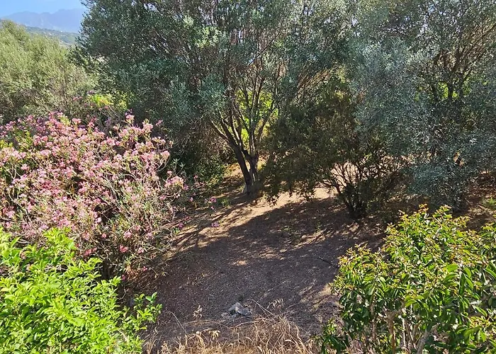 Apartamento Rez-de-villa T4, Idyllique Et Independant